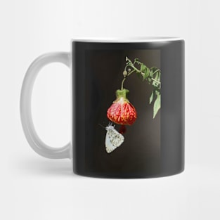 Butterfly gathering on a flower Mug